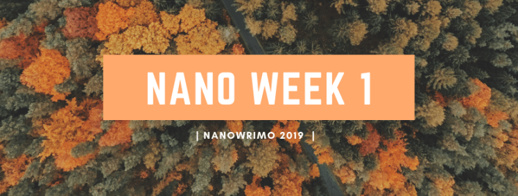 NaNoWriMo 2019